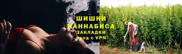 PSILOCYBIN Абаза