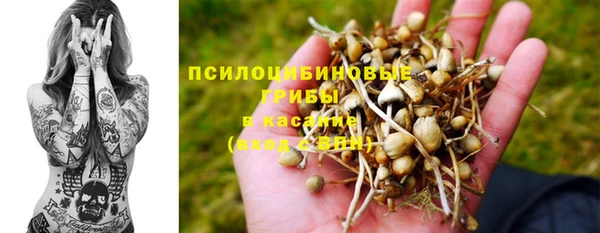 каннабис Алзамай